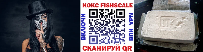 Cocaine Fish Scale  Купить закладки  Бузулук 