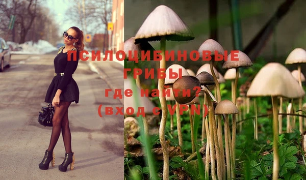 spice Инсар