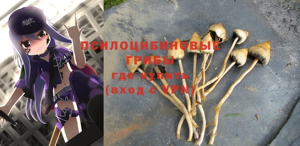 прущий лед Иннополис