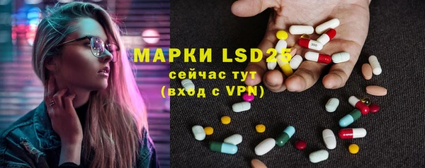 spice Инсар