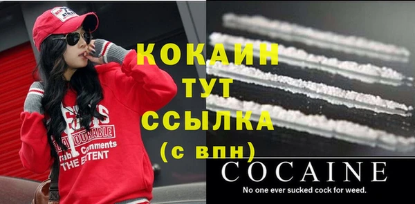 spice Инсар