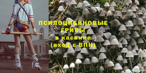 соль ск Инта