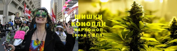 spice Инсар