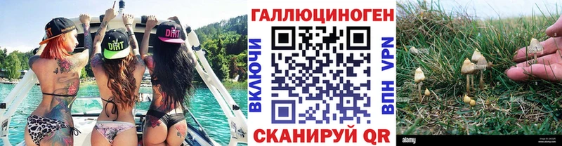 Псилоцибиновые грибы мицелий  Купить  Бузулук 