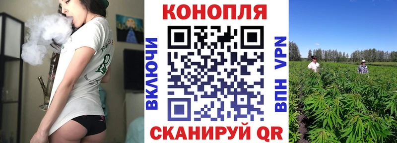 Купить  Бузулук  Шишки марихуана конопля 